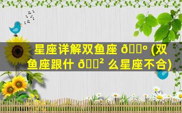 星座详解双鱼座 🐺 (双鱼座跟什 🌲 么星座不合)